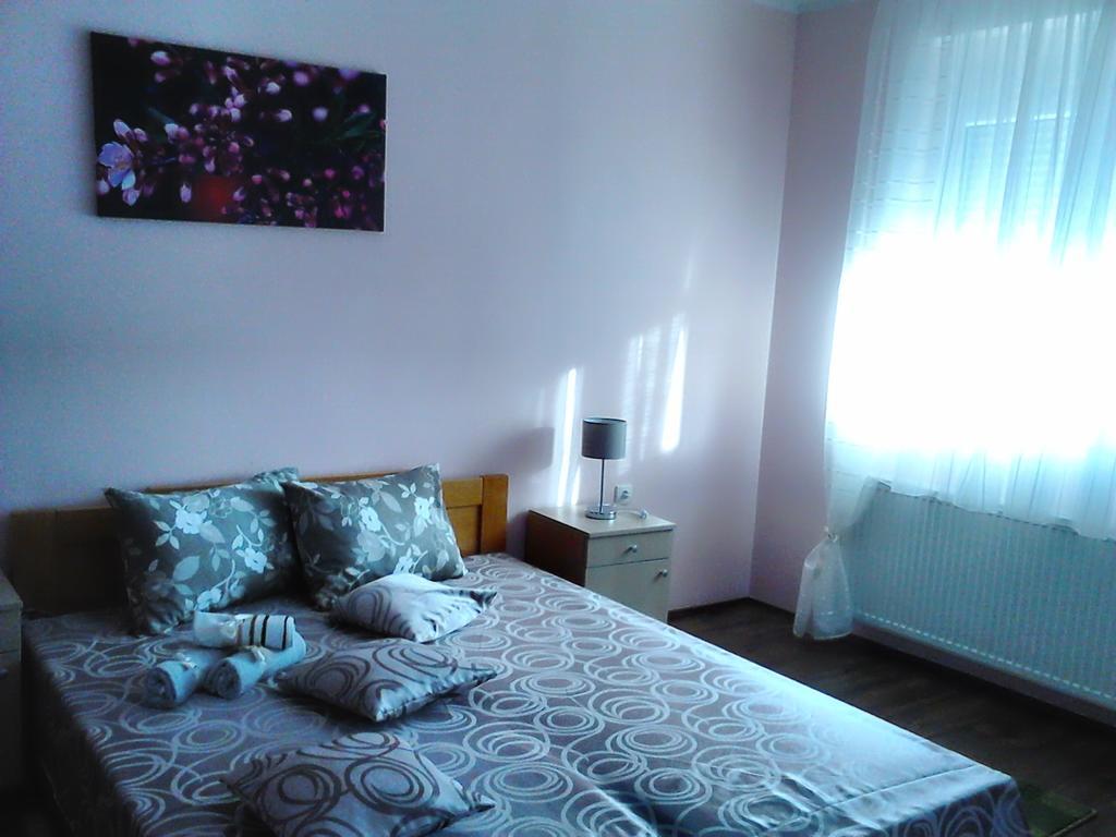 B&B Zmajevo Gnezdo 021 Sremska Kamenica Εξωτερικό φωτογραφία